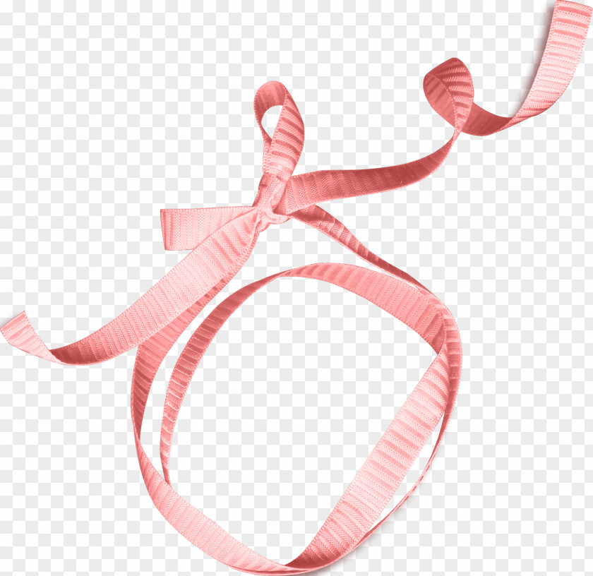 Ribbon Gift Shoelace Knot PNG