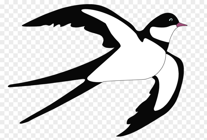 Swallow Clipart Bird Blog Clip Art PNG