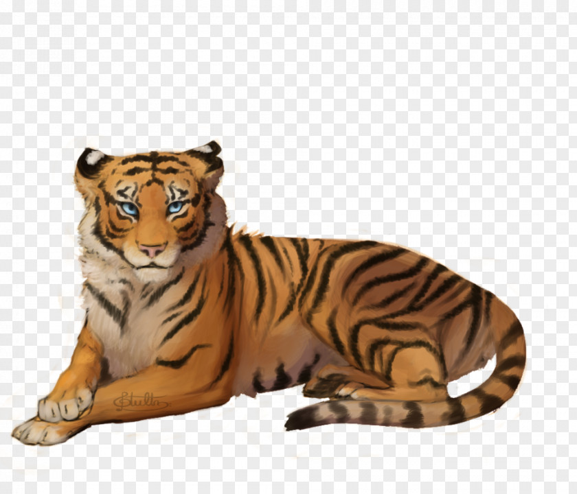 Tiger Siberian Lion Clip Art PNG