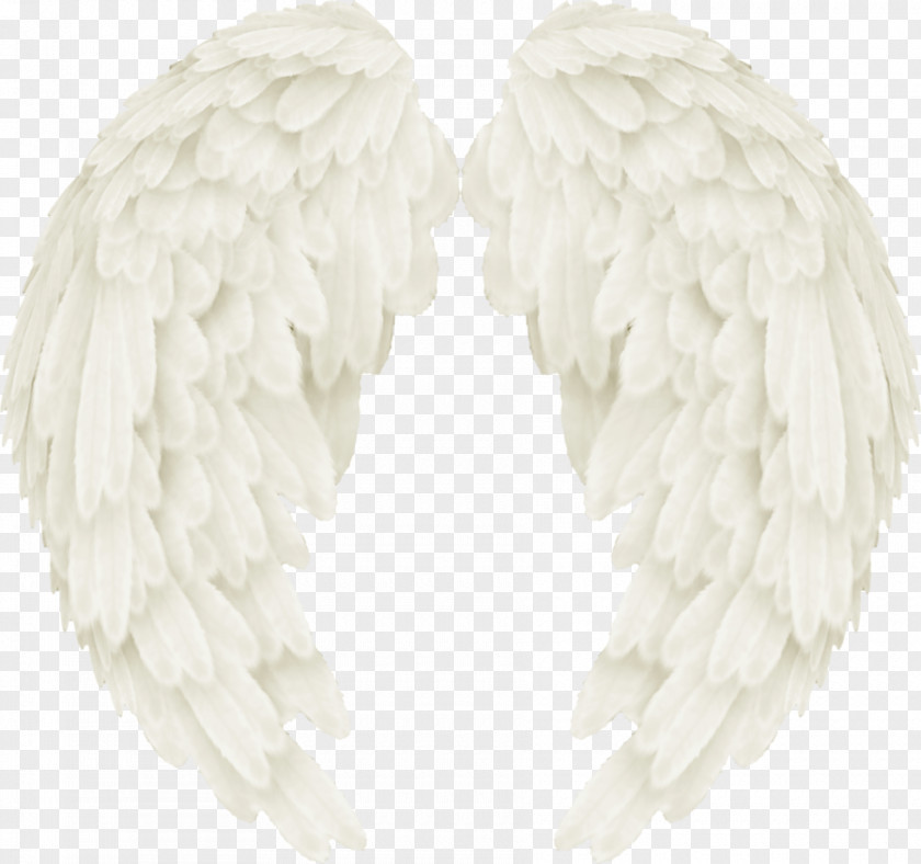 Wings Angel Image White Centerblog Vector Graphics PNG