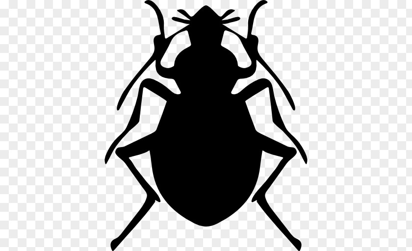 Beetle Pest Control Brown Marmorated Stink Bug PNG
