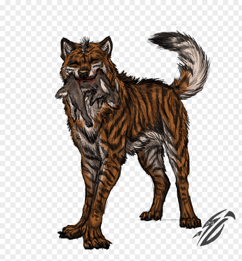 Cat Whiskers Wildcat Canidae Dog PNG