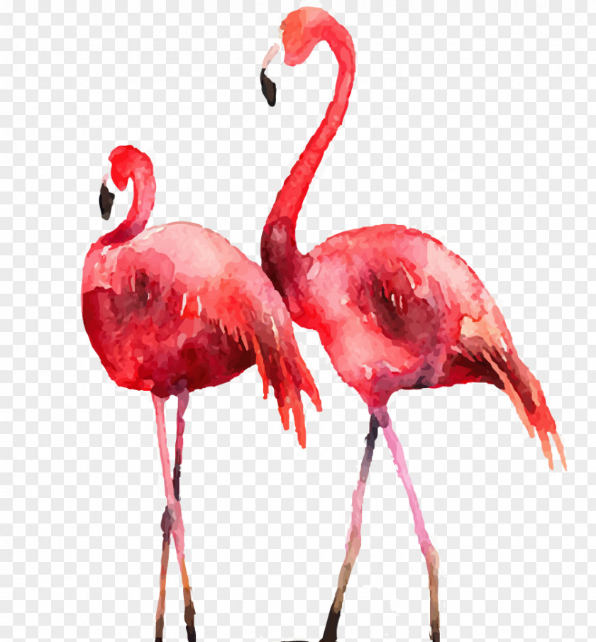 Drawing Flamingos Flamingo Poster Printmaking Illustration PNG