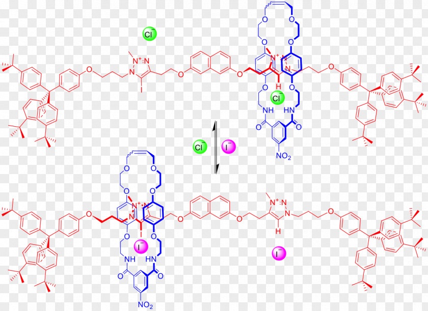 Induced Rotaxane Anioi Molecular Shuttle Molecule Coordination Complex PNG