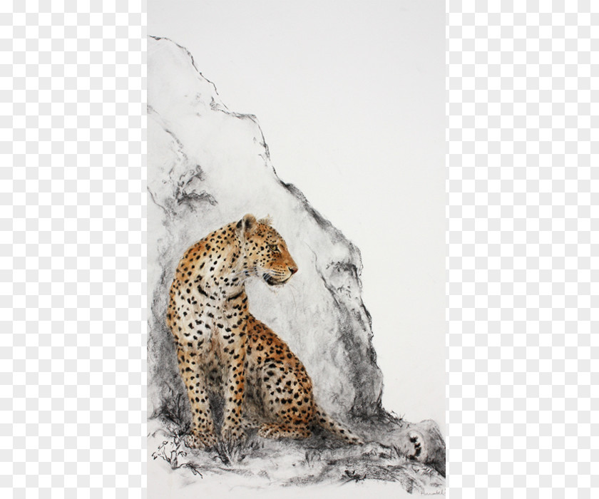 Leopard Jaguar Cheetah Wildlife Terrestrial Animal PNG