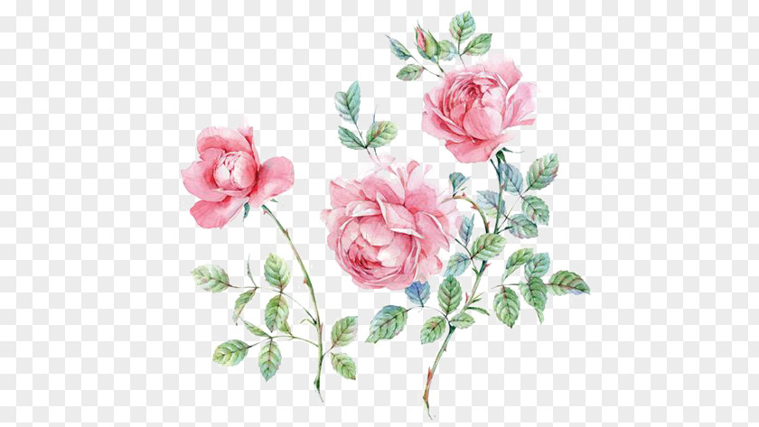 Pink Flowers PNG flowers clipart PNG