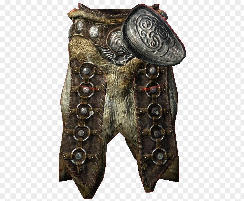 Armour The Elder Scrolls V: Skyrim – Hearthfire Dragonborn Scale Xbox 360 PNG