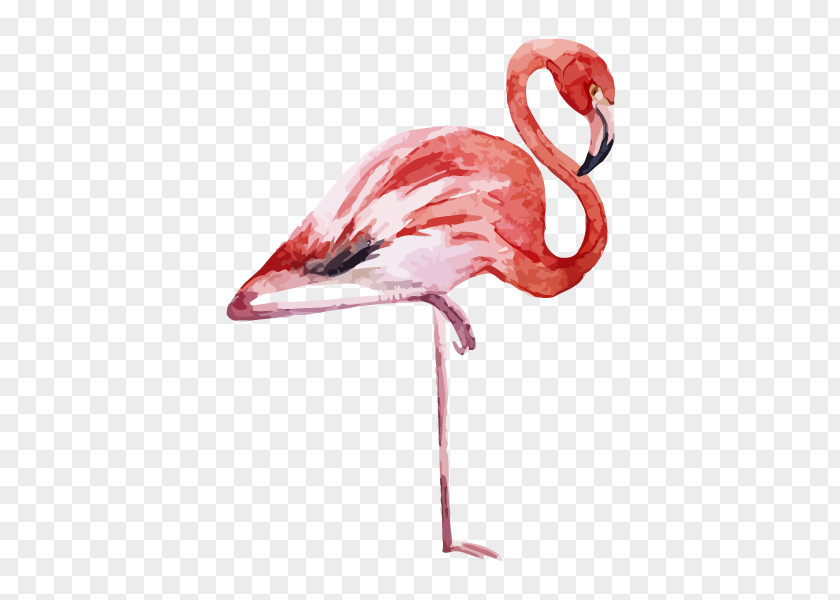Flamingo Printing Canvas Print Printmaking PNG