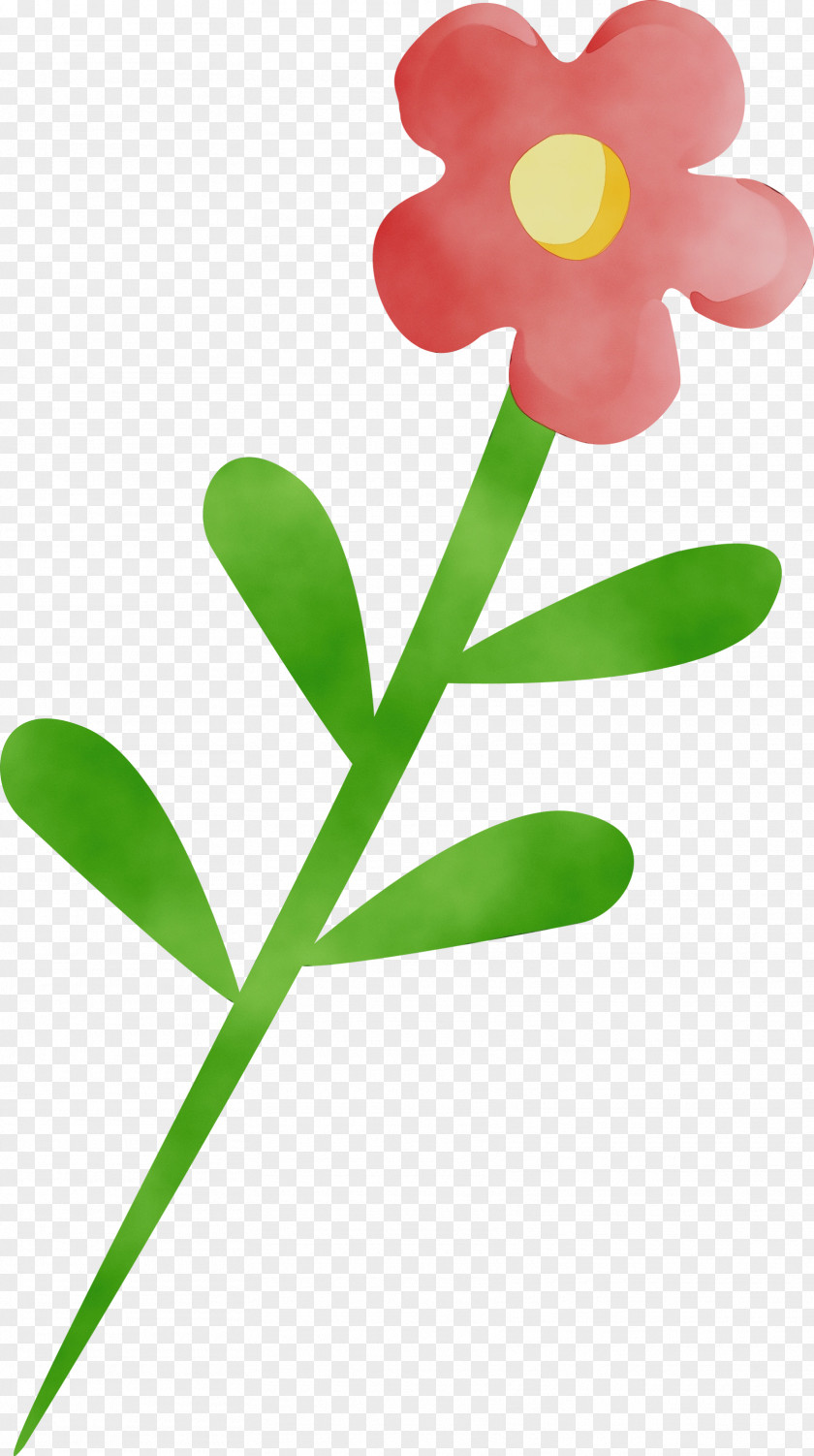 Flower Plant Leaf Pedicel Stem PNG