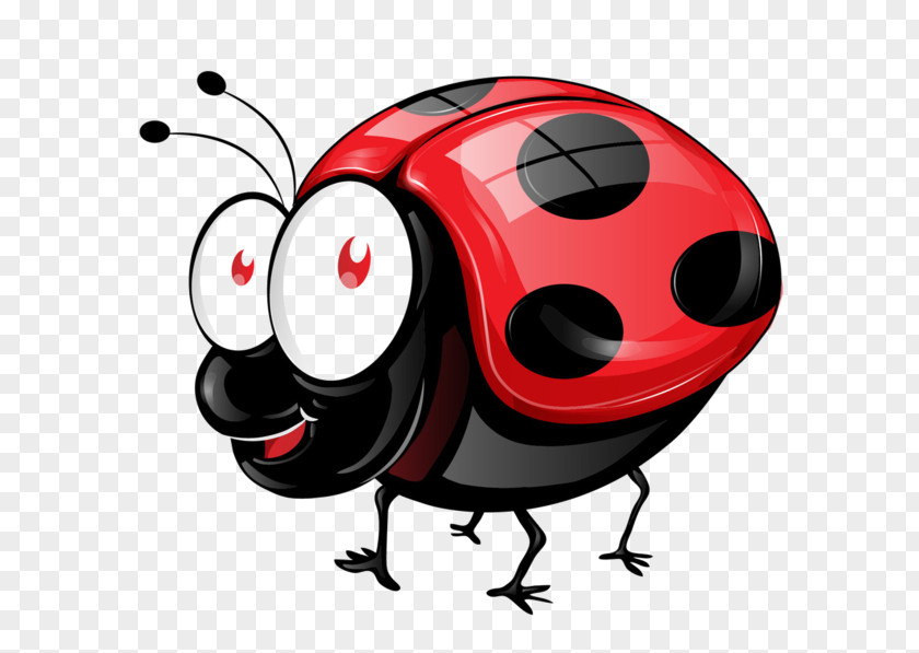 Ladybird Cartoon Photography Drawing PNG