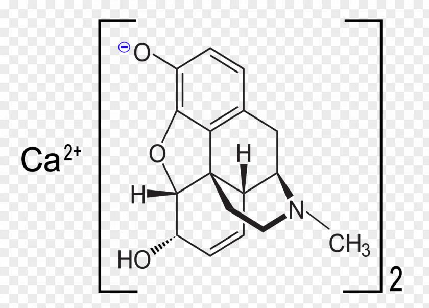 Opium Poppy Codeine Opioid Heroin Morphine Opiate PNG