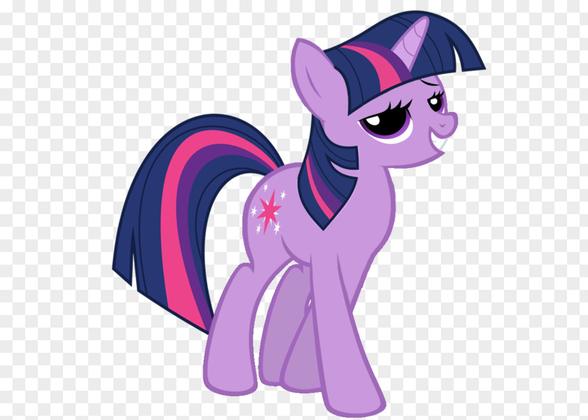 Twilight Sparkle Pinkie Pie Applejack Rarity Pony PNG