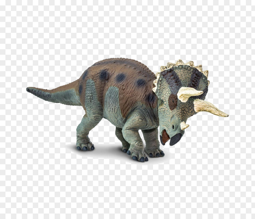 Tyrannosaurus Pachycephalosaurus Dinosaur PNG