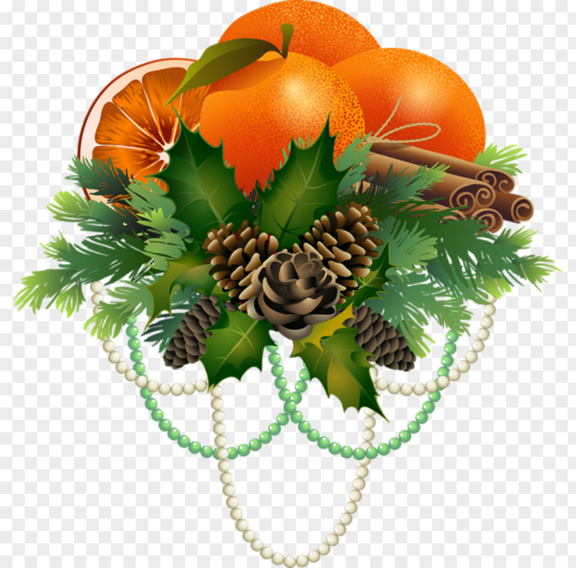 Design Christmas Day Vector Graphics Fruit Image PNG