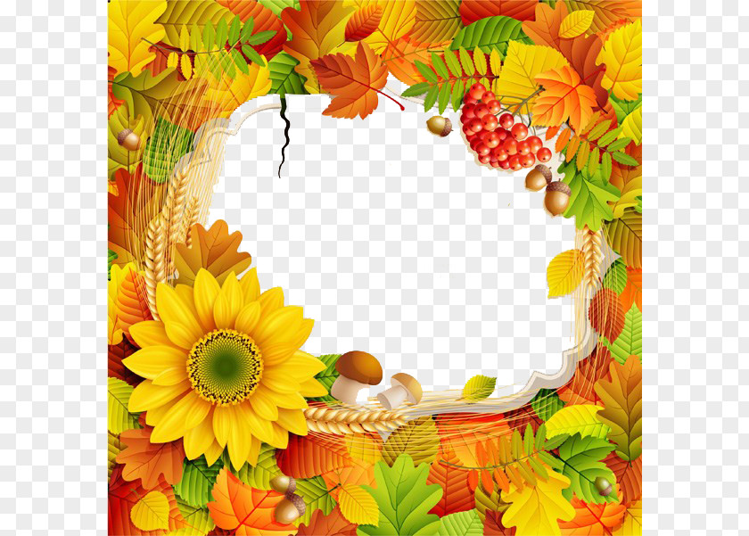 Fall Promotional Posters Border PNG