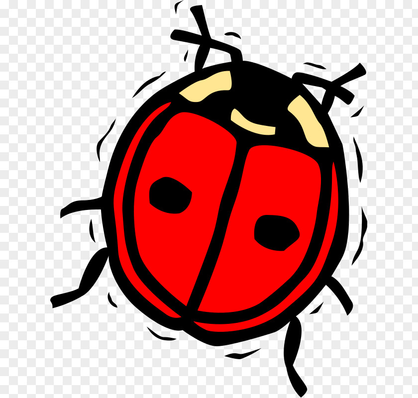 Insect Ladybird Beetle Clip Art PNG