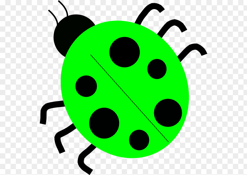 Ladybug Ladybird Clip Art PNG