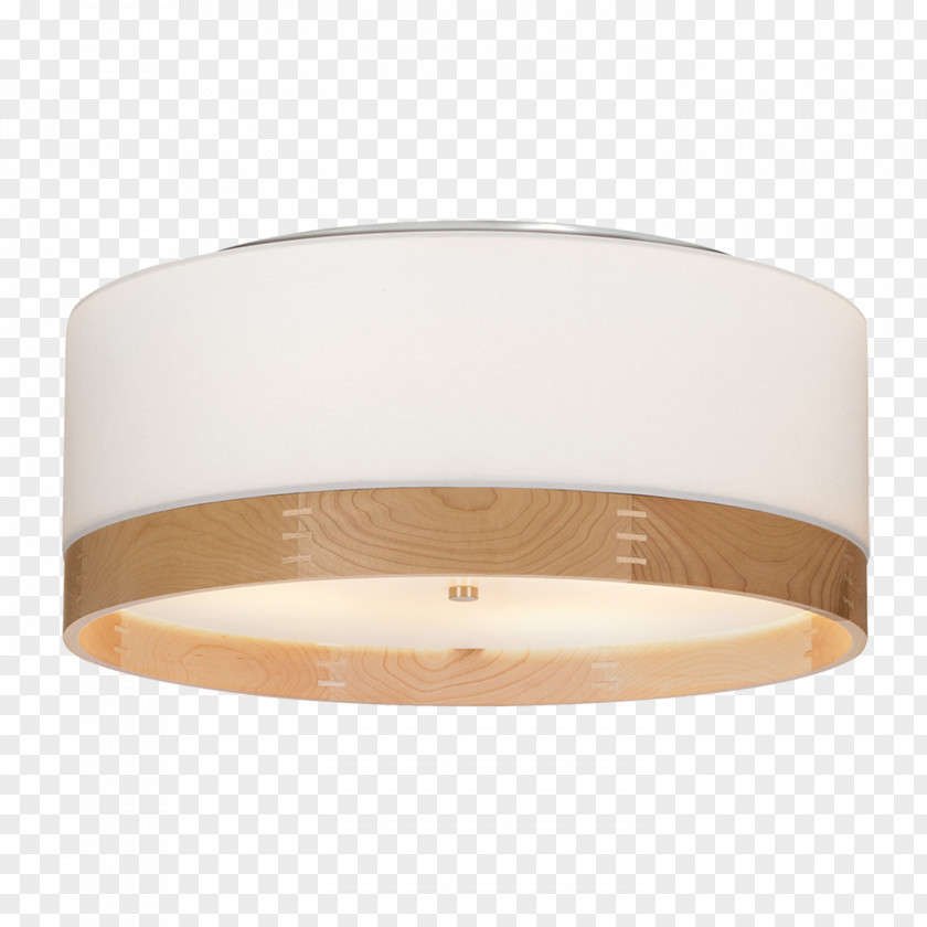 Light Lighting Wayfair Incandescent Bulb Fixture PNG
