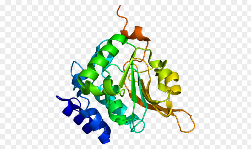 Procalcitonin Molecule Protein Structure Mass Spectrometry PNG