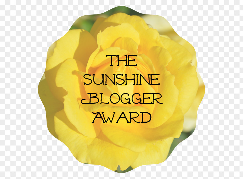 Sunshine And Lemonade Blog Award Nomination WordPress.com PNG