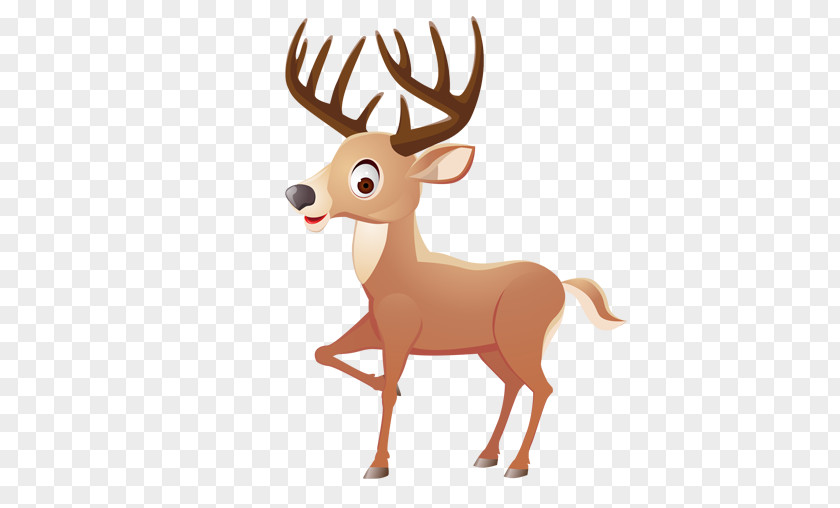 Baby Moose Deer Stock Photography Vector Graphics Clip Art Illustration PNG