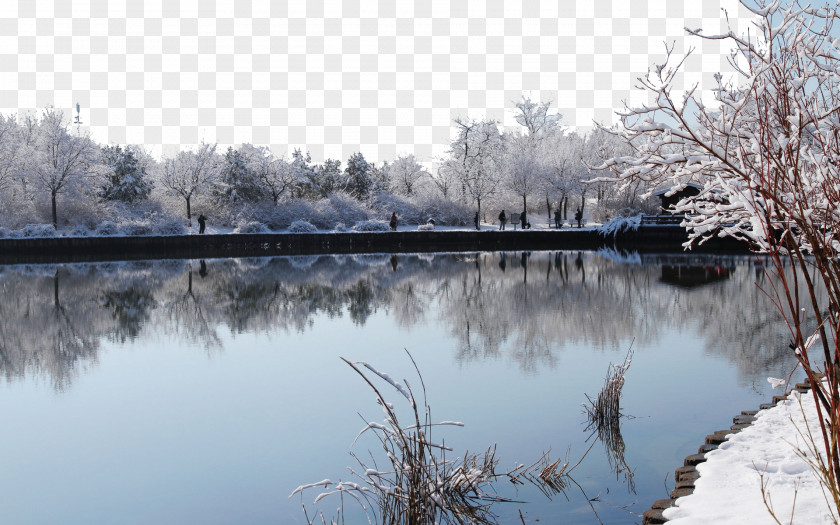 Beijing Botanical Garden, Two Snow Garden Fairy Lake Humble Administrators PNG