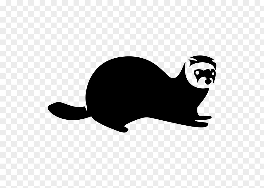 Ferret Black-footed Whiskers Cat PNG