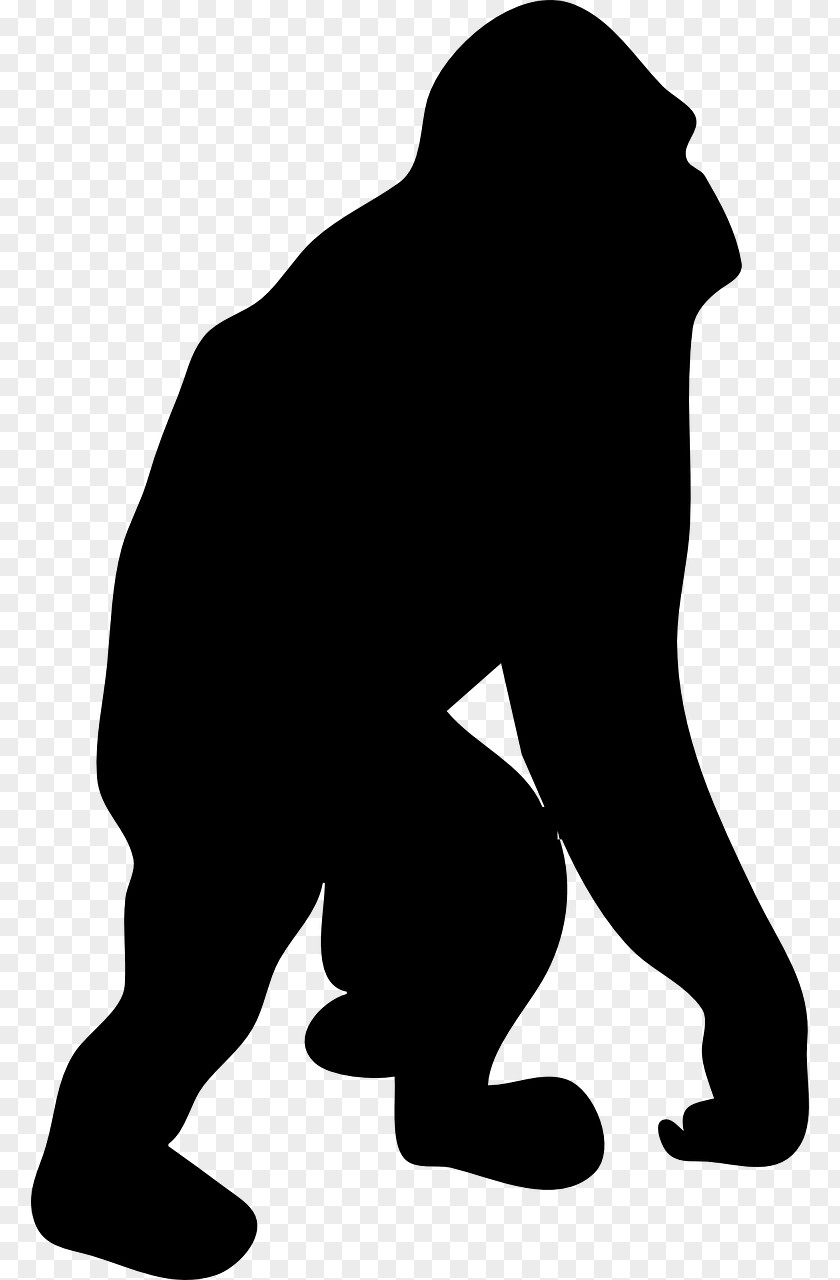 Black Gorilla Ape Bonobo Drawing Clip Art PNG