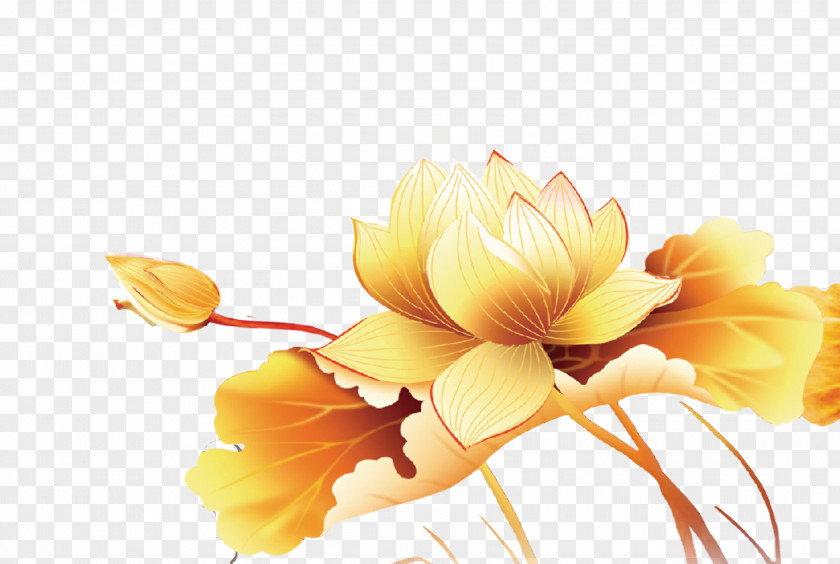 Golden Lotus Mid-Autumn Festival Flower Traditional Chinese Holidays Computer File PNG