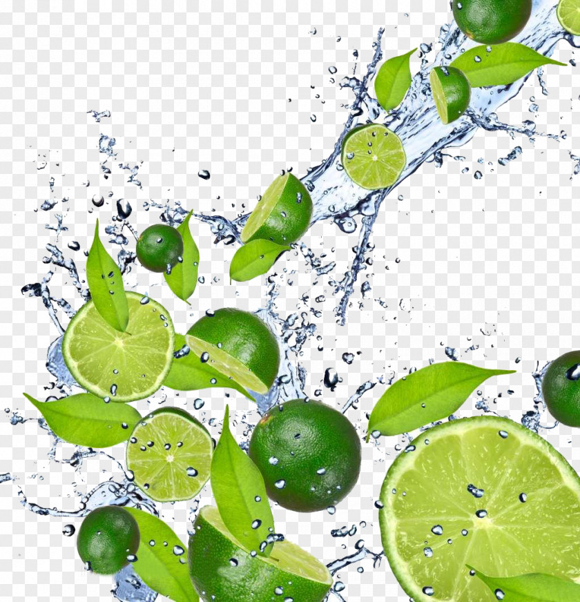 Lemon Drinks Wine Image Ads Juice Lemonade Lime Iced Tea PNG