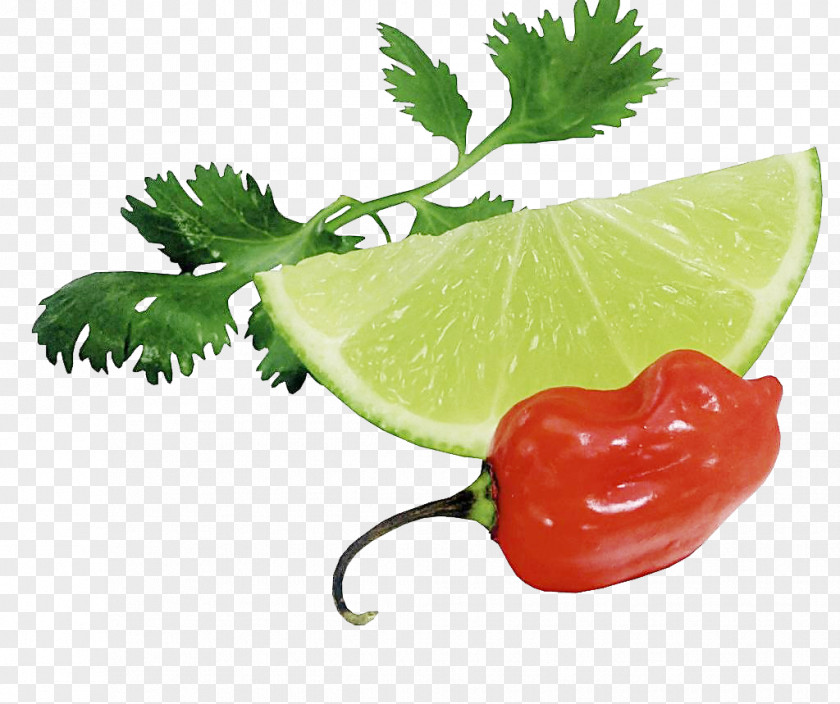 Lemon Pepper Lime Green Papaya Salad Auglis Vegetable PNG