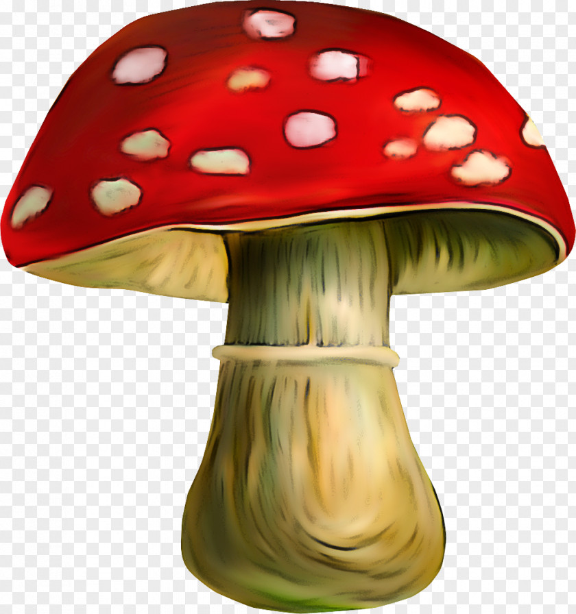 Mushroom Agaric Fungus Agaricaceae Edible PNG