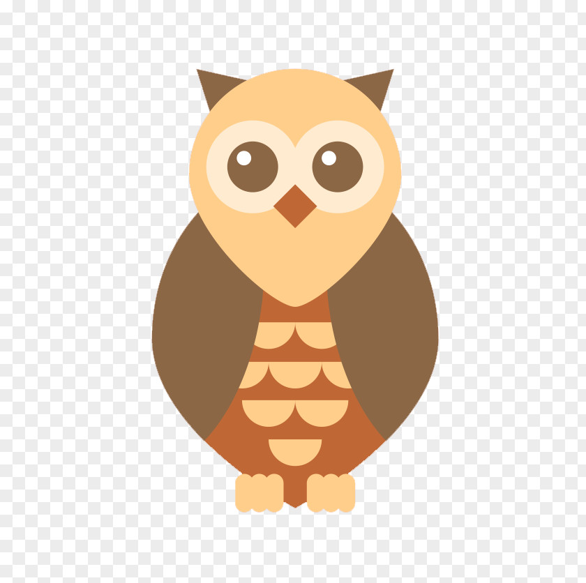 Owl Giant Panda Cartoon Illustration PNG