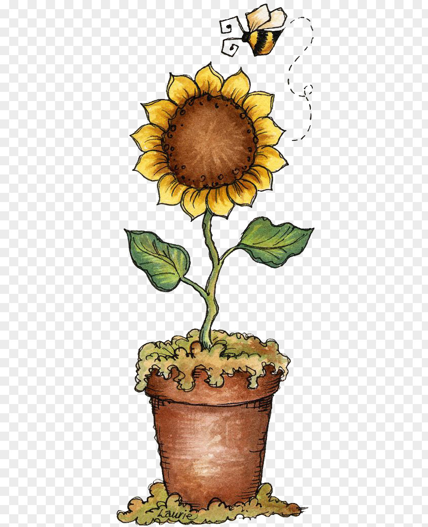 Sunflower Drawing Decoupage Painting Clip Art PNG