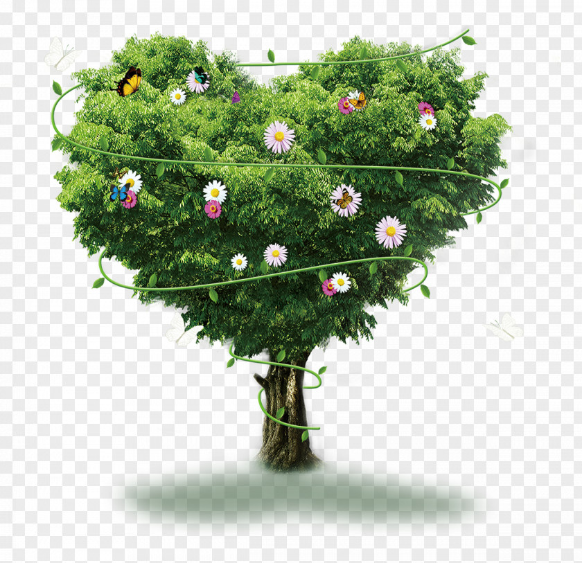 The Giving Tree Google Images Poster PNG