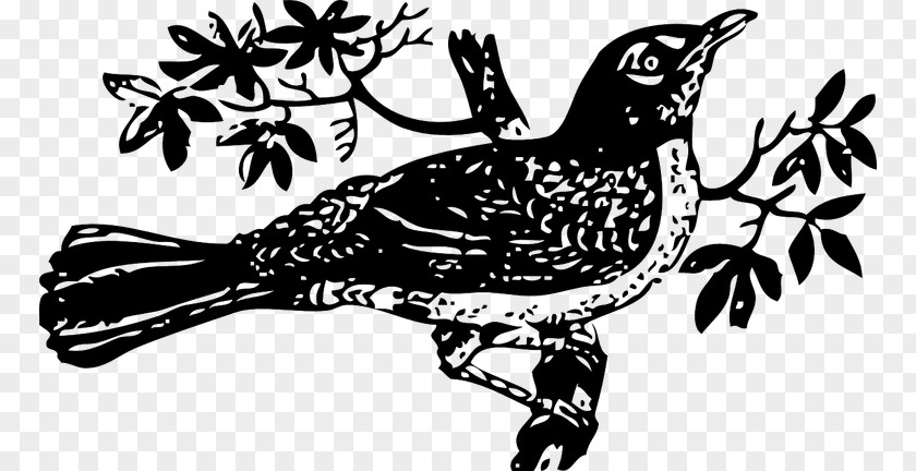 To Kill A Mockingbird Clip Art PNG