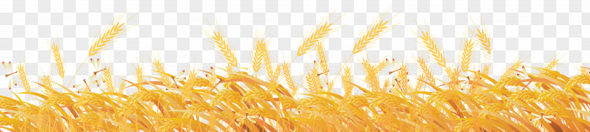 Creative Wheat Common Material Grass PNG