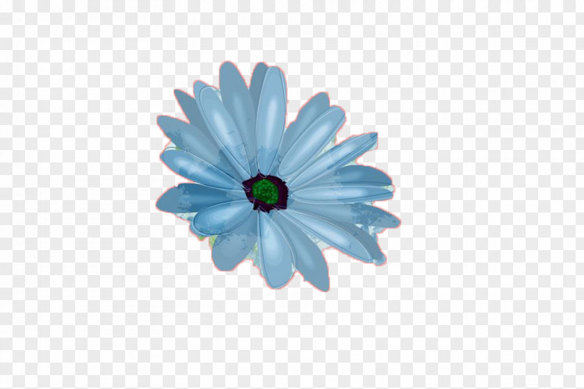 Daisy Flower Photography Drawing PNG