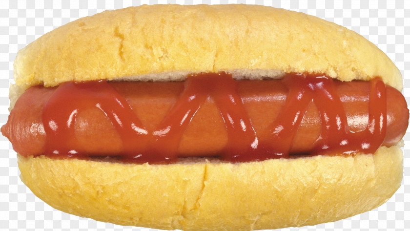 Hotdog Hot Dog Hamburger Breakfast Sandwich Fast Food Junk PNG