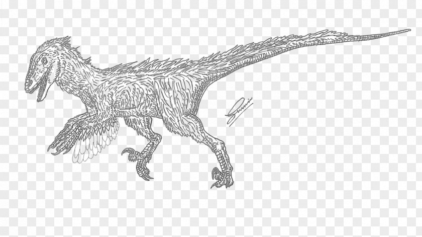 Primeval Deinonychus Velociraptor Tyrannosaurus Animal Drawing PNG