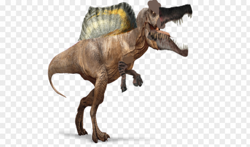 Rex Gatchalian Tyrannosaurus Spinosaurus Counter-Strike: Global Offensive PNG