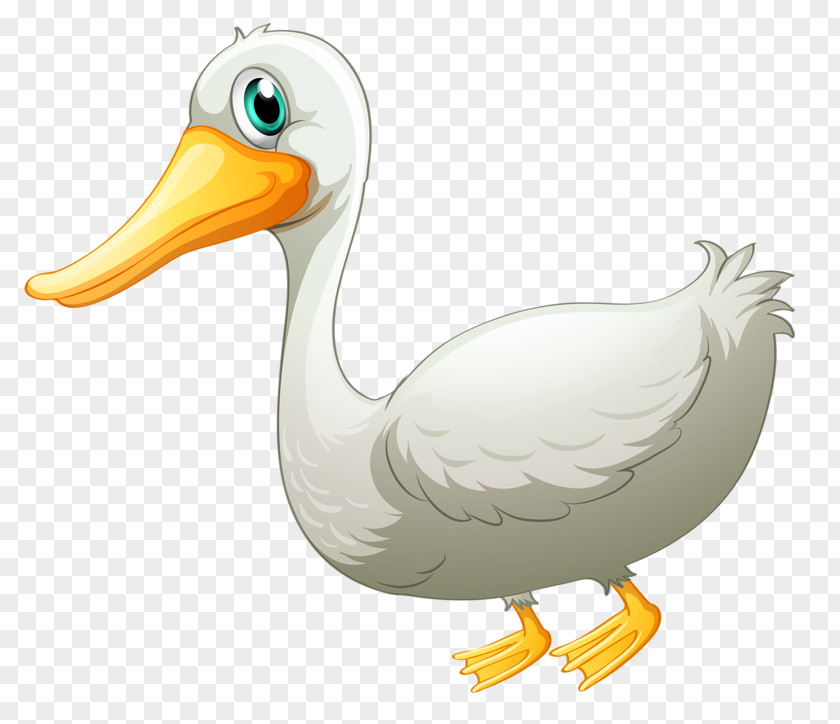 White Duck Pato Branco Goose Drawing PNG