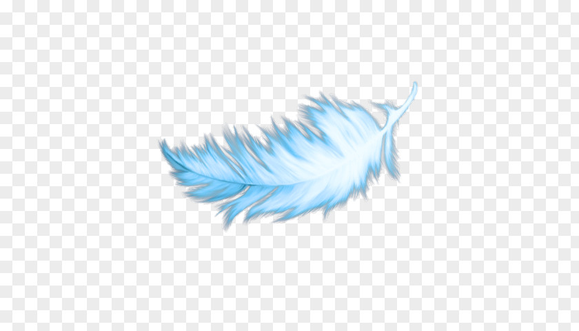 Writing Implement Wing Feather PNG