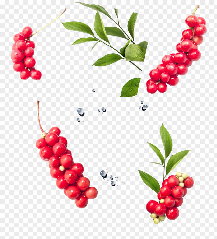 Acacia Missing String Red Berries Fruit Frutti Di Bosco Juice Lingonberry Cranberry Zante Currant PNG