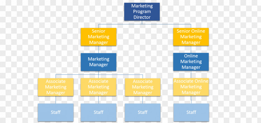 Marketing Organizational Structure Chart Management PNG