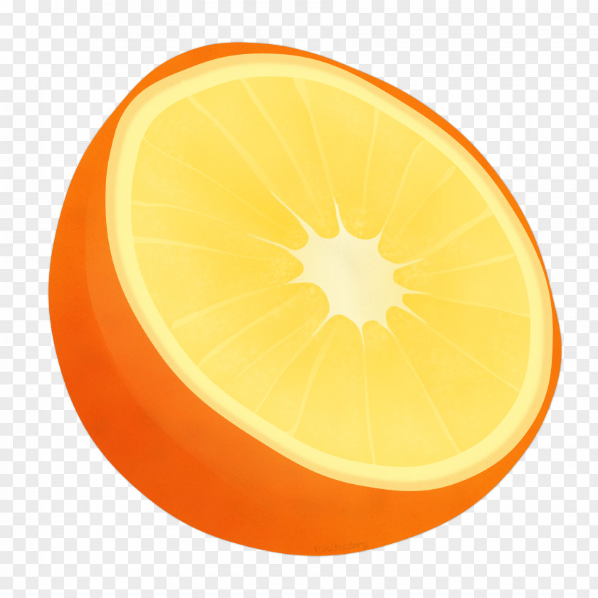 Orange Juice Grapefruit Lemon PNG