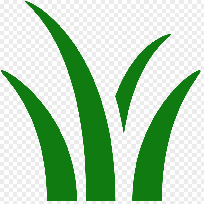Palm Leaves Herbicide Lawn Mowers Landscape Maintenance Landscaping PNG