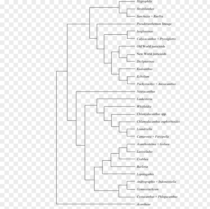Phylogenetic Tree Phylogenetics Cladogram Fusarium Solani PNG