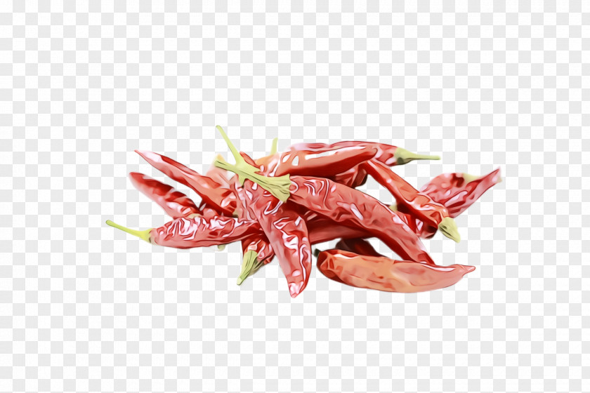 Plant Ingredient Pungency Mapo Doufu Chili Pepper Food Spaghetti Aglio E Olio PNG