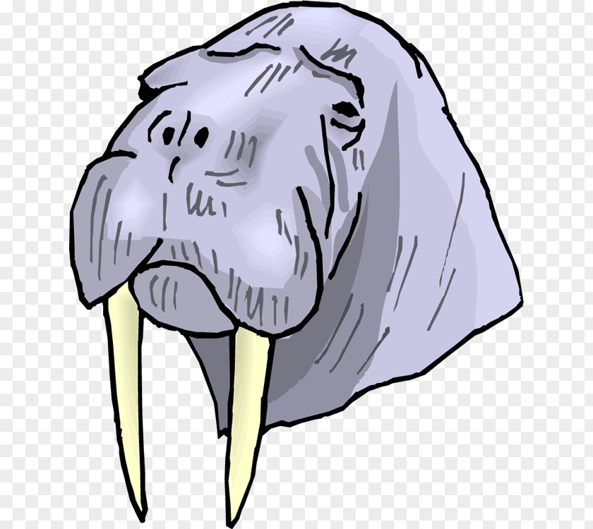Walrus Cliparts Tusk Clip Art PNG